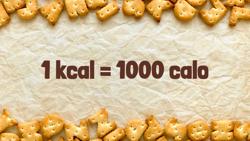 1 kcal bằng 1000 calo