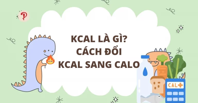 Kcal là gì? 1kcal bằng bao nhiêu calo? Cách đổi kcal sang calo